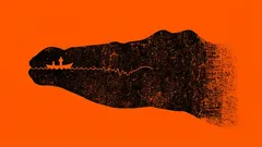 Co jste viděli jako první: psychologický test odhalující hlavní rysy vaší osobnosti