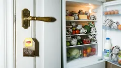 Proč pověsit čajový sáček na dveře a dát kuličky z novin do ledničky: 10 triků šetrných lidí
