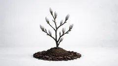 Jak ochránit magnólii před mrazem, aby na jaře bohatě kvetla