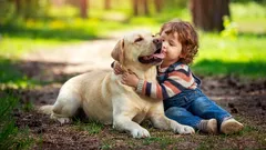 Co plemeno psa vypovídá o charakteru majitele