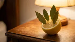 Položte do svého pokoje citron s bobkovými listy. Následujícího rána si poděkujete sami sobě.