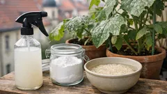 Rýžová voda s jedlou sodou: kdy pomůže na padlí a kdy spíš uškodí