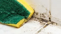 Tento mléčný nápoj okamžitě odstraňuje skvrny od plísní.