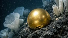 Záhadná zlatá „kupole“ z hlubin u Aljašky: co našla expedice NOAA