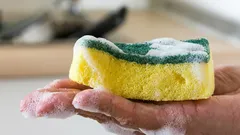 Jednoduchý způsob, jak dezinfikovat houbu na mytí nádobí a zničit bakterie: budete potřebovat pouze dvě ingredience.