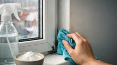 Plíseň na oknech: jak ji rychle odstranit octem a sodou a zabránit návratu